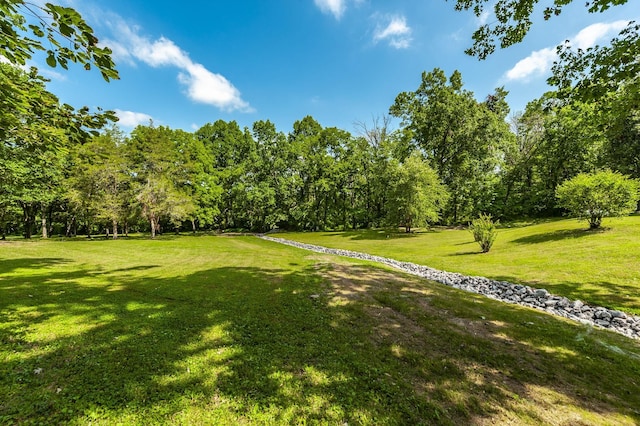 1800 Liberty Ln, Gallatin, TN 37066 - photo 12