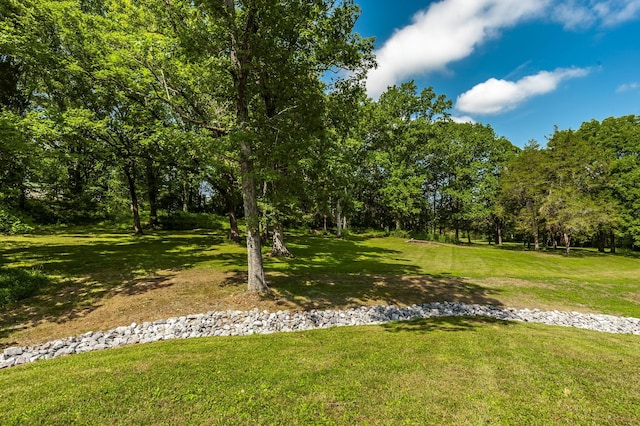 1800 Liberty Ln, Gallatin, TN 37066 - photo 10