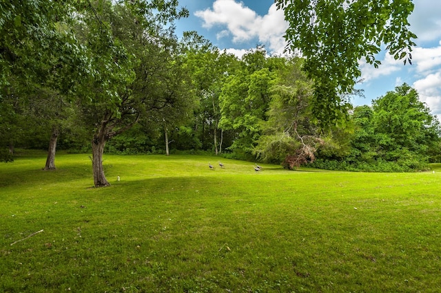1800 Liberty Ln, Gallatin, TN 37066 - photo 27
