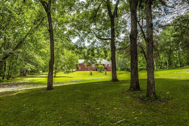 1800 Liberty Ln, Gallatin, TN 37066 - photo 29