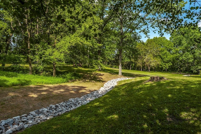 1800 Liberty Ln, Gallatin, TN 37066 - photo 9