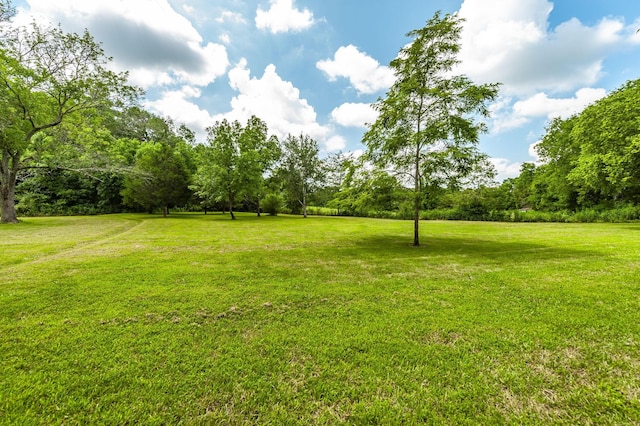 1800 Liberty Ln, Gallatin, TN 37066 - photo 28