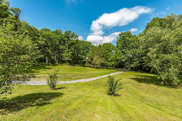 1800 Liberty Ln, Gallatin, TN 37066 - photo 17