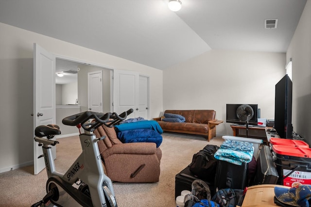 15252 Foamflower Ln, Sale Creek, TN 37373 - exercise area with carpet and vaulted ceiling