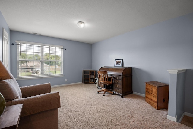 15252 Foamflower Ln, Sale Creek, TN 37373 - carpeted office with baseboards