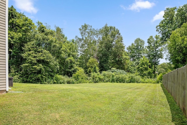 15252 Foamflower Ln, Sale Creek, TN 37373 - view of yard