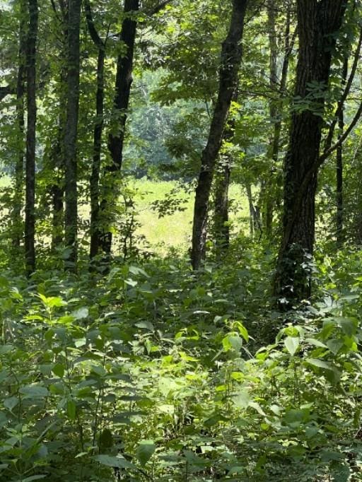 2740 Callis Rd, Lebanon, TN 37090