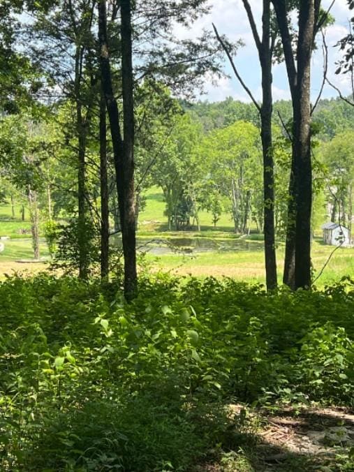 2740 Callis Rd, Lebanon, TN 37090