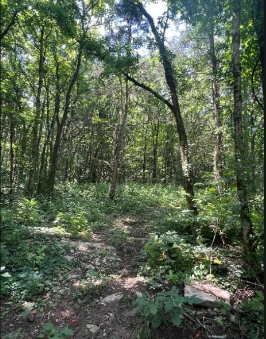 2740 Callis Rd, Lebanon, TN 37090