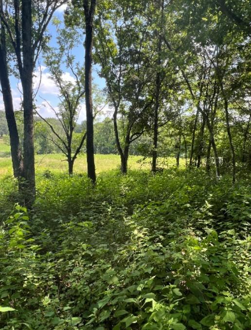 2740 Callis Rd, Lebanon, TN 37090