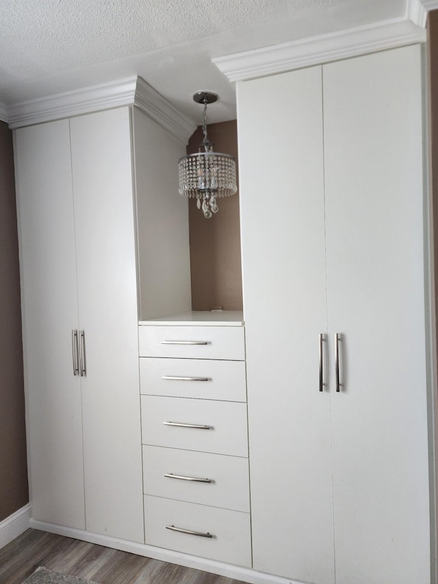 119 Horn Ave, Loretto, TN 38469 - view of closet