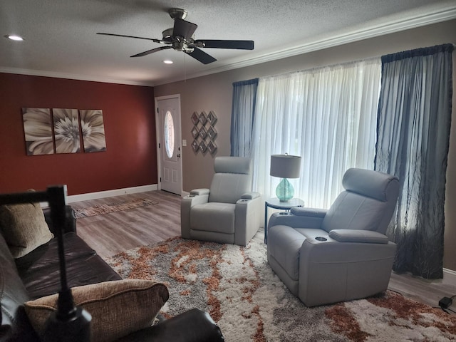 119 Horn Ave, Loretto, TN 38469 - living room with crown molding, a textured ceiling, wood finished floors, ceiling fan, and recessed lighting