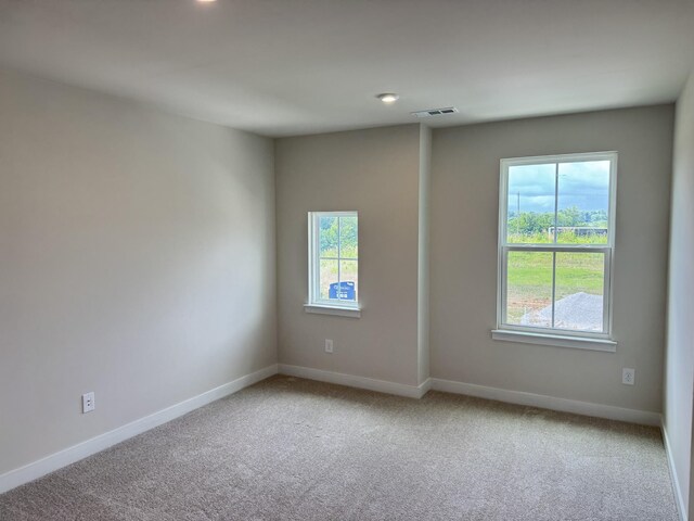 1172 Savannah Ave, Gallatin, TN 37066 - photo 50