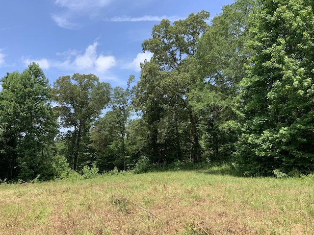 0 Largo Rd, Decaturville, TN 38329