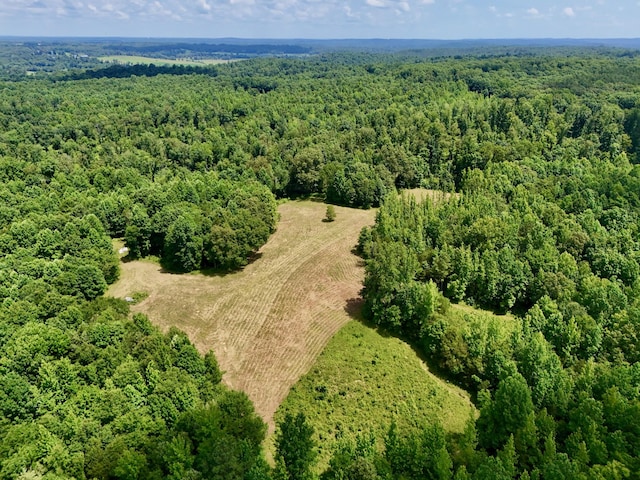 0 Largo Rd, Decaturville, TN 38329