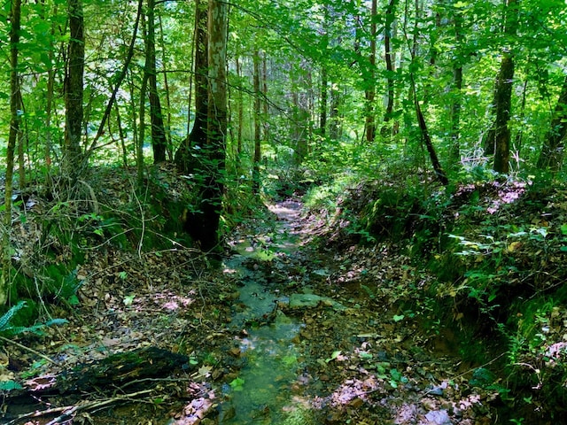 0 Largo Rd, Decaturville, TN 38329