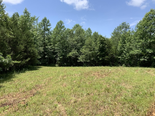 0 Largo Rd, Decaturville, TN 38329