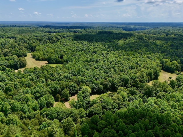0 Largo Rd, Decaturville, TN 38329