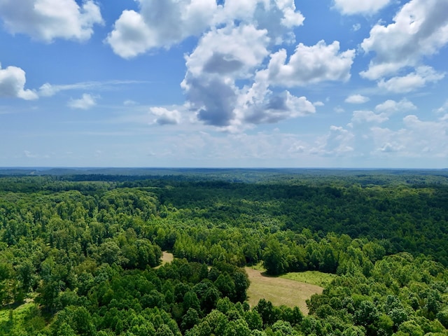 0 Largo Rd, Decaturville, TN 38329