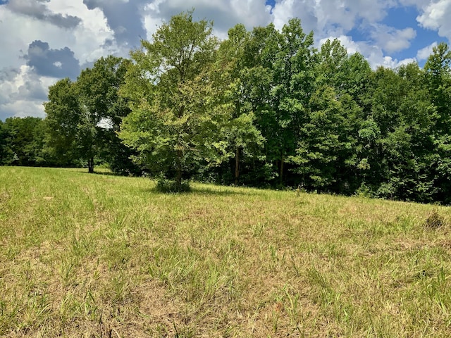 0 Largo Rd, Decaturville, TN 38329