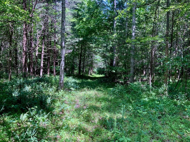 0 Largo Rd, Decaturville, TN 38329