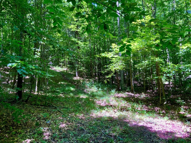 0 Largo Rd, Decaturville, TN 38329