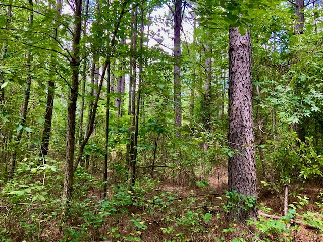 0 Largo Rd, Decaturville, TN 38329