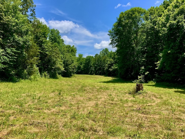 0 Largo Rd, Decaturville, TN 38329