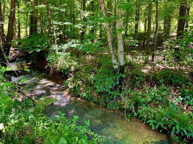 0 Largo Rd, Decaturville, TN 38329