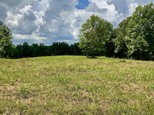 0 Largo Rd, Decaturville, TN 38329