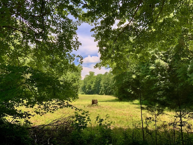 0 Largo Rd, Decaturville, TN 38329
