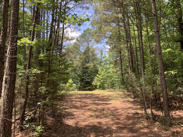 0 Largo Rd, Decaturville, TN 38329