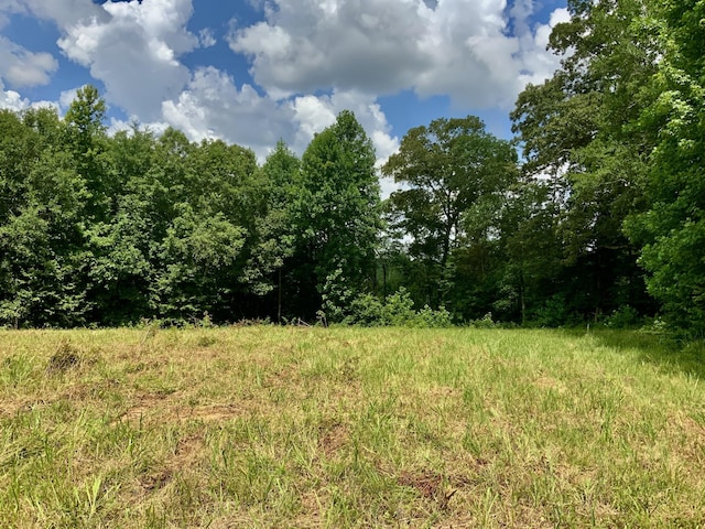 0 Largo Rd, Decaturville, TN 38329