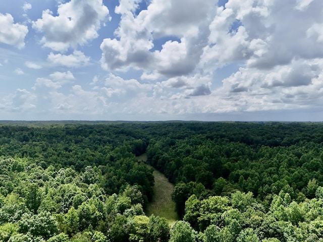 0 Largo Rd, Decaturville, TN 38329