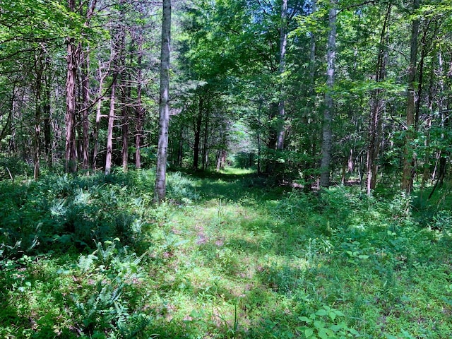 0 Largo Rd, Decaturville, TN 38329