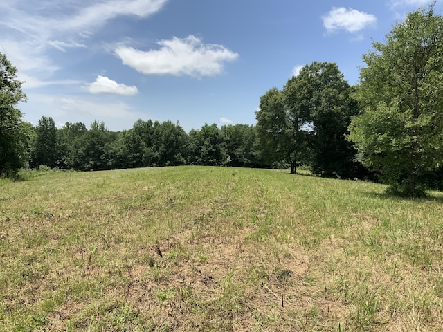 0 Largo Rd, Decaturville, TN 38329