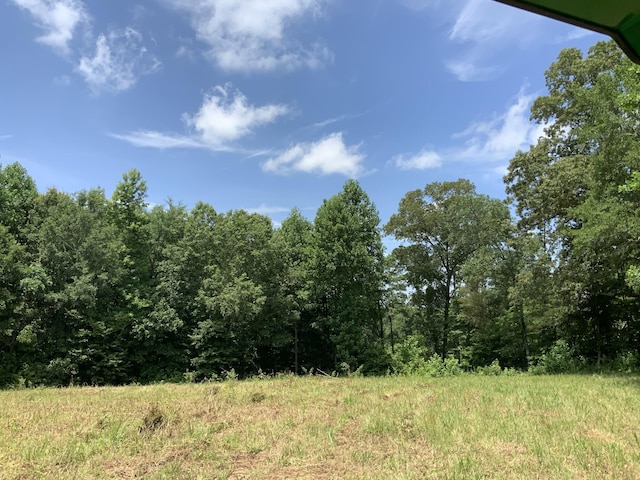 0 Largo Rd, Decaturville, TN 38329