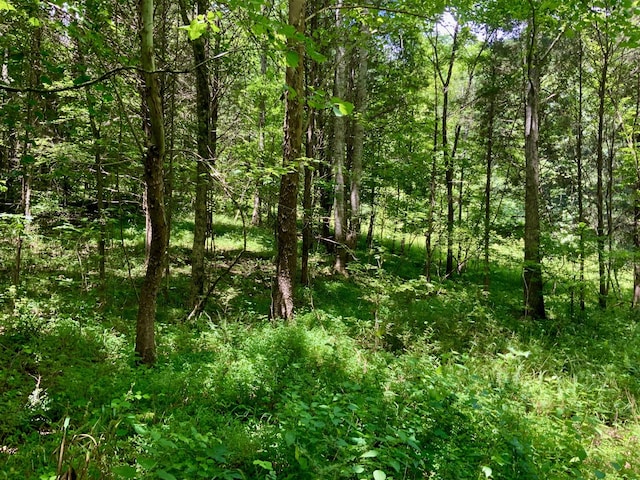 0 Largo Rd, Decaturville, TN 38329