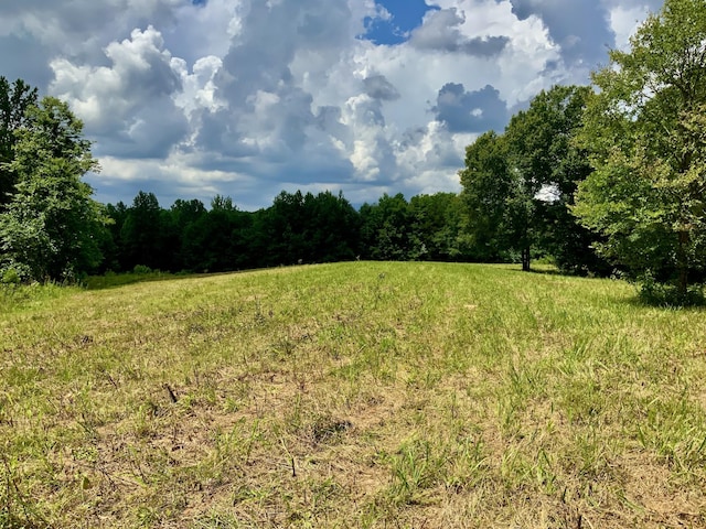 0 Largo Rd, Decaturville, TN 38329