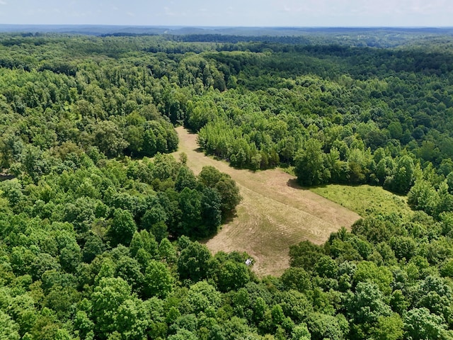 0 Largo Rd, Decaturville, TN 38329