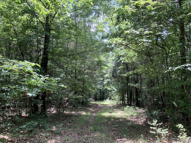 0 Largo Rd, Decaturville, TN 38329