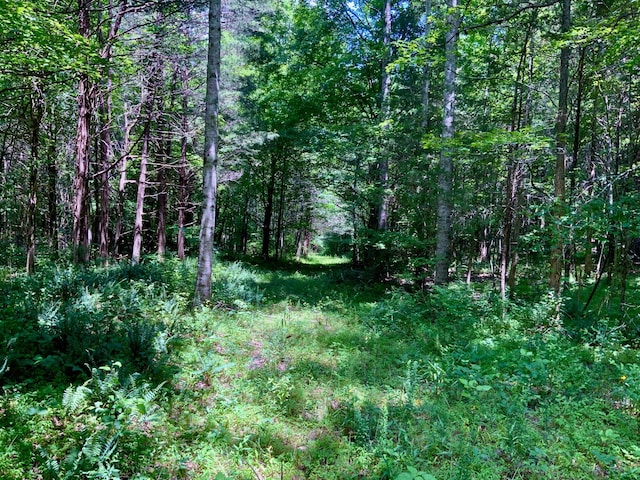 0 Largo Rd, Decaturville, TN 38329