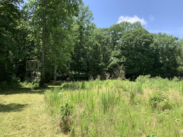 0 Largo Rd, Decaturville, TN 38329