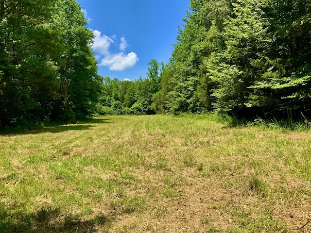 0 Largo Rd, Decaturville, TN 38329
