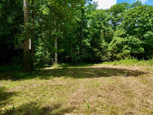 0 Largo Rd, Decaturville, TN 38329
