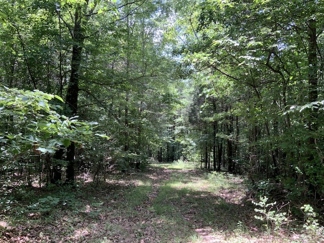 0 Largo Rd, Decaturville, TN 38329