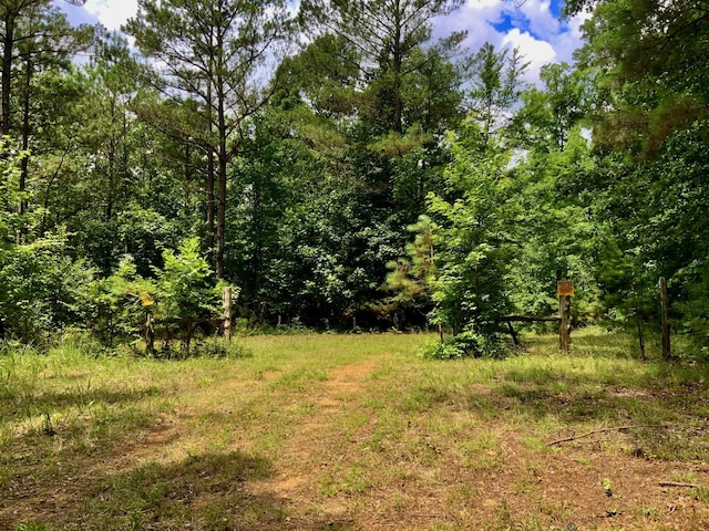 0 Largo Rd, Decaturville, TN 38329