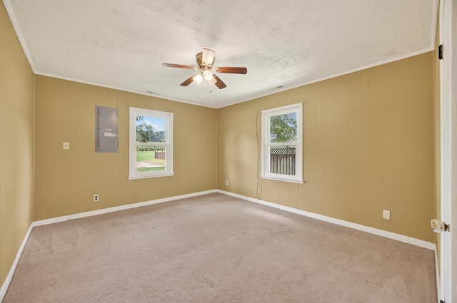37 Mason Rd, Flintville, TN 37335 - photo 23