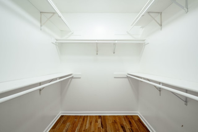 270 Autumn Trl, Ringgold, GA 30736 - walk in closet featuring wood finished floors
