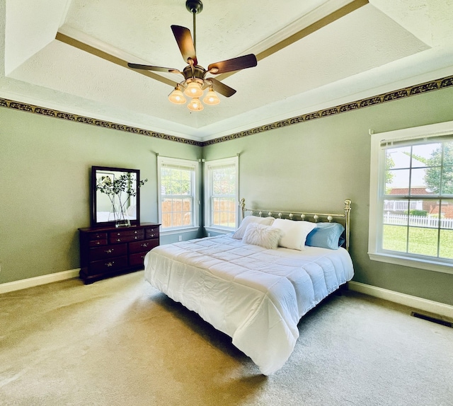 2714 Maylon Dr, Murfreesboro, TN 37128 - bedroom featuring light carpet, multiple windows, and a raised ceiling